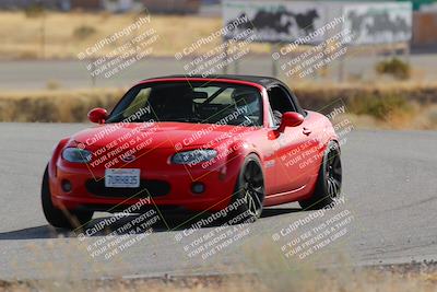 media/Feb-22-2025-Team Topak Racing (Sat) [[cb57a51a40]]/Intermediate Low1/Turns 2 and 4/
